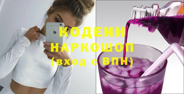 индика Богданович